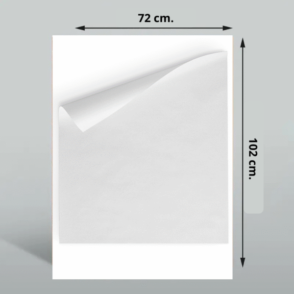 Cartulina Gráfica de 210 gr./m2  (72 x 102 cm.) - Imagen 2